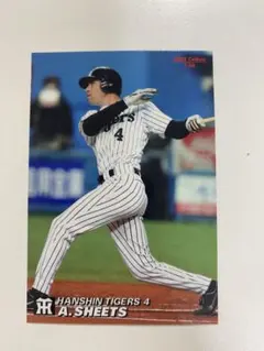 2025年最新】2005 プロ野球チップスの人気アイテム - メルカリ