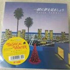 2026年最新】永井博 レコードの人気アイテム - メルカリ