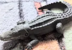 アニア　2点セットのサムネイル