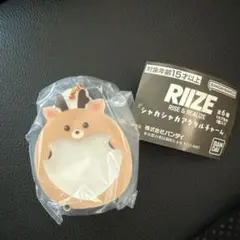RIIZE ソンチャン