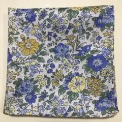 Item thumbnail for item 4db0b23d-9394-4eef-8923-bf8ea1659d76