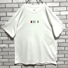 ナイキ エスビー☆Tシャツ バックプリント ビックロゴ L ホワイト 美品のサムネイル