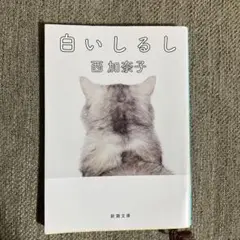 白いしるし 西加奈子