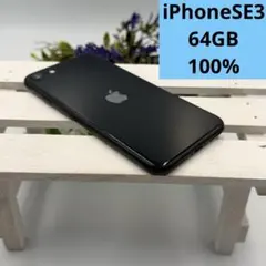 【美品】iPhone SE第3世代 64GB ミッドナイト 317