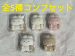 新品未使用 全5種コンプセット うさぎのねむちゃん フロッキーフィギュア１２