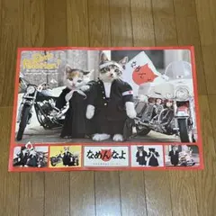 なめ猫☆超大型なめ猫 木製パネルポスター ☆ニャンニャンニャン迄大幅