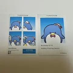 サンリオ　証明写真風スマロイド