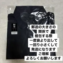 品川照英高等学校 BEAMS SCHOOL 女子半袖ポロシャツ L サイズ2着