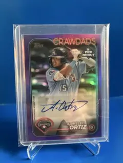 Item thumbnail for item a5e551d1-42f0-4f48-bc24-f5036b8a1325