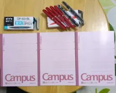 Item thumbnail for item cfd23399-453c-4d6f-b0b8-3460ba489639