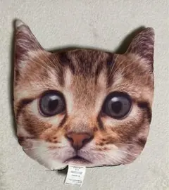 Item thumbnail for item 8cc047dc-416f-4ce5-ba15-ab5cec6d7694