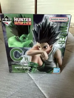 HUNTER×HUNTER ゴン C賞 MASTERLISE 2
