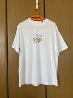 Item thumbnail for item d178431b-c5aa-4494-9baa-7f064ed2fad6