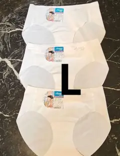 251400 3枚セット　ウルトラヒップ ショーツ　L　スロギー