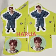 &TEAM CanCam11月号 ステッカー HARUA ハルア