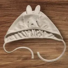 Item thumbnail for item 5ae77eb5-bebe-41f6-9554-56736055b30e