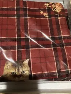 PAUL & JOE チェック柄猫トートバッグ