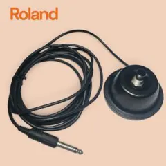 Roland FS-1 FOOT SWITCH ビンテージ フットスイッチのサムネイル
