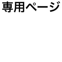 RT-98567様専用ページ