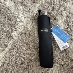 Item thumbnail for item 2a9e3816-7c73-459b-96c2-3c7696c9e9b9