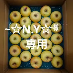 【~☆N.Y☆~様専用】