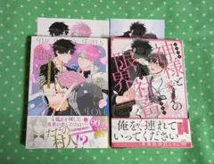 samesuke 神様と愛しの限界社畜くん 勇者は村人Aに恋をする 2冊セット