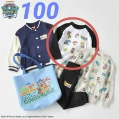【未使用】パウパトロール　トップス　ロンT 100cm