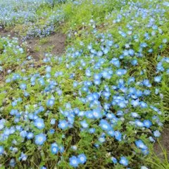 SA様のサムネイル