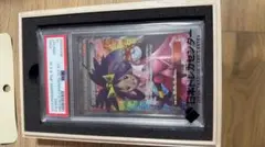 アイリス PSA10