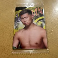 RIZINウエハース YA-MAN