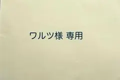 ワルツ様専用　　恐竜フォトフレーム