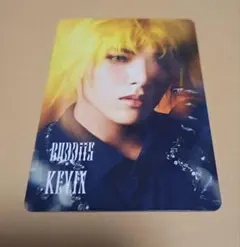 BUDDiiS KEVIN トレカ