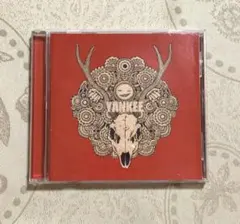 YANKEE 初回限定版 ユニバーサルミュージック(Universal Music)|YANKEE (初回限定盤)(映像
