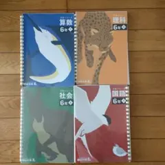 四谷大塚予習シリーズ6年生上 算理社国 セット