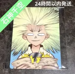 Dr.STONE 特典 非売品 ミニ下敷き 石神千空 Dr.STONE 特典 ミニ下敷き 石神千空 まとめ売り - メルカリ