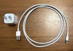 Lightningケーブル・USB A充電アダプタの2点セット
