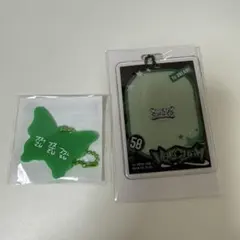 【新品・未開封】ヘチャン ラントイ ドリショ4