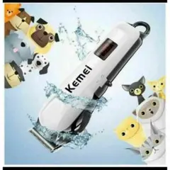 Item thumbnail for item 5a708608-35fc-41f0-b545-8e3591fa2306