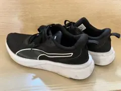 Item thumbnail for item 0a1ee2df-7351-4b42-973d-65c422060118