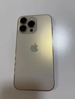 Apple iPhone 13 Pro ゴールド 箱・付属品あり