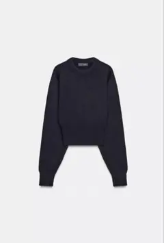 ZARA クルーネックニット クロップド丈