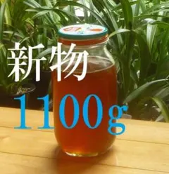 稀少】ニホンミツバチの百花蜜1100g - メルカリ