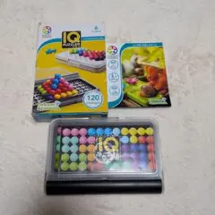 IQ Puzzler Pro 知育玩具