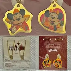 TDR⭐️ファンダフルディズニー⭐️キーチェーン❣️チャーム⭐️非売品