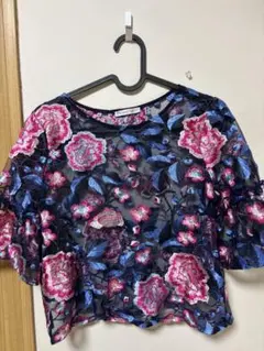 ZARAフラワー刺繍 シースルー 半袖トップス