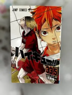 劇場版ハイキュー!! ゴミ捨て場の決戦 特典33.5巻