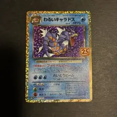 2026年最新】わるいギャラドスの人気アイテム - メルカリ