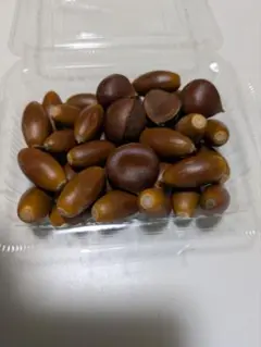 どんぐり 約30個　栗5個 茶色 自然素材
