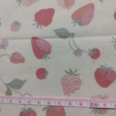 NINAオックス　マンシッカ キナリ　イチゴ柄