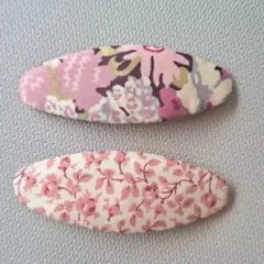 Item thumbnail for item 8090859f-6bd7-45f1-9dd5-adfa622cfab1